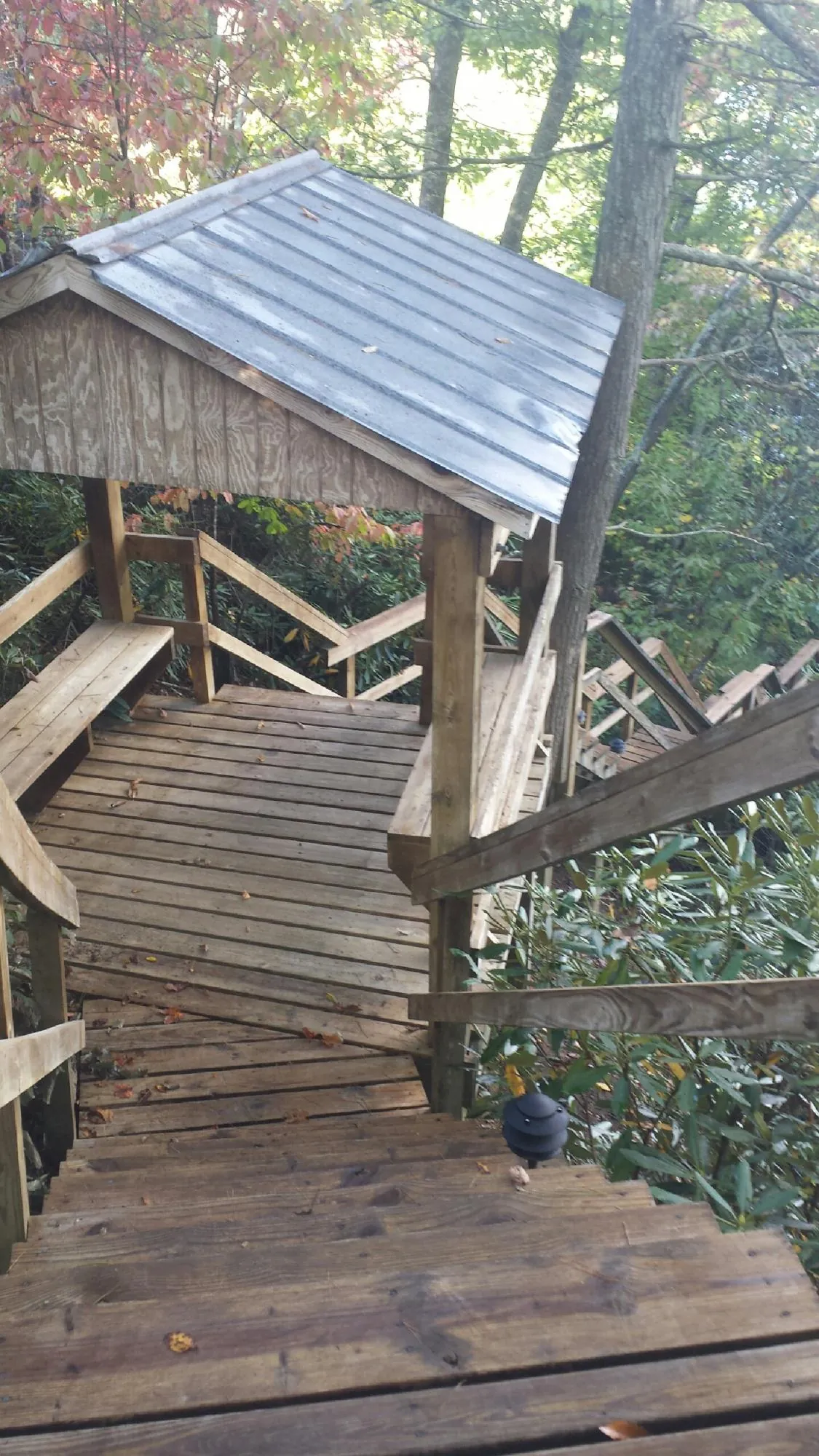 Metal roofed shelter over wooden steps on a wooded walkway — Skylight Repair & Installation work by our crew in Kentwood