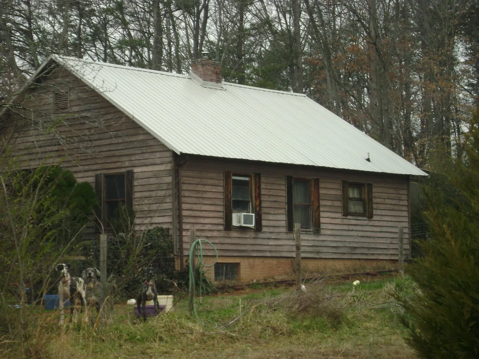 White metal roof on an old wood sided farmhouse, from a Metal Roof Installation job in Kentwood